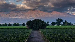 Argentine Wine Dinner Experience by M.Pelleriti foto