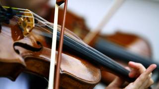 🎻 An Elegant Evening of Live Violin & dinner 🎻 foto