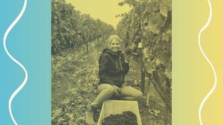 Joy Fantastic wine dinner foto