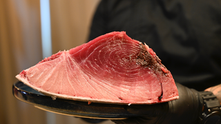 Bluefin Tuna Cutting Photo