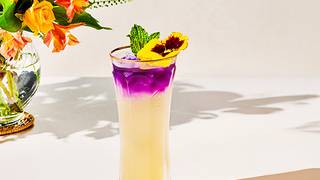 Sips of Summer Cocktail Event foto