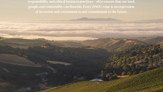 DAOU Winery Dinner - Cellar Series Photo