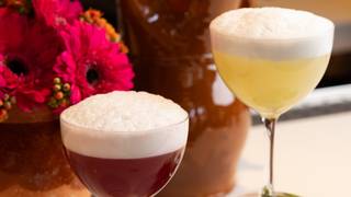 Oyamel Cocktail Class with Diego Cardenas photo
