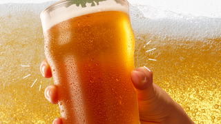 Tuesday All-Day Cheers Photo