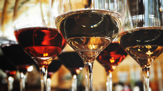 Half Off Wine Monday Photo