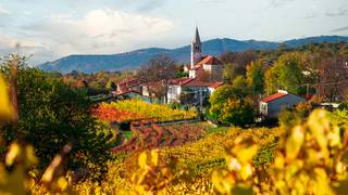 Wine Talk- A taste of Northern Italy Photo