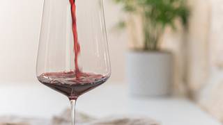 Summer Abroad Wine Class - France [ BURGUNDY ] foto