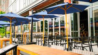 PPP: July 4th Para Patio Party! Photo