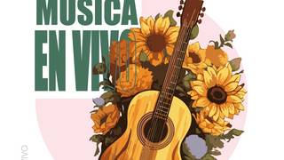 Musica en vivo Photo