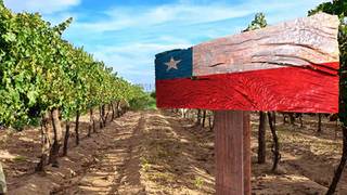 4- Course Chilean Wine Pairing Dinner Photo