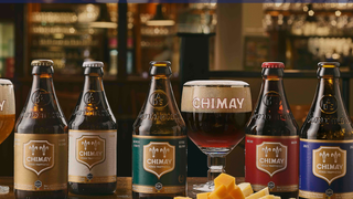 Perfect Pairings: European Brews & Bold Bites foto