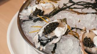 Sip & Shuck Photo