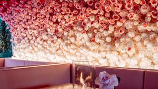 Mon Cheri Restaurant - Scottsdale, AZ OpenTable