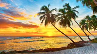 Jimmy Buffet Margaritaville Night foto