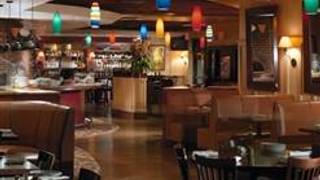 Best Restaurants In Glastonbury Opentable Max Amore