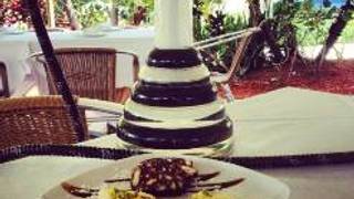 16 Restaurants Near Clematis Street Opentable