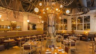 Best Restaurants In Gramercy Opentable Park Avenue Winter