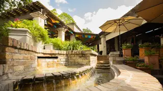 A photo of Paloma Blanca Mexican Cuisine restaurant