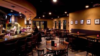 Happy Hour Savoy Bar and Grill Albuquerque Photo