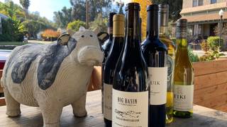 Wine tasting foto