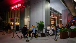 A photo of Shy Bird - Kendall Square restaurant
