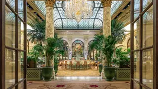 Photo du restaurant The Palm Court at The Plaza Hotel