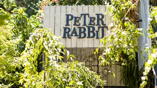 A photo of Peter Rabbit restaurant