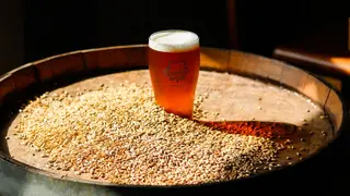 A photo of Wanderlinger Brewing Company restaurant