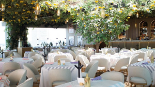 A photo of Mandolina - Bosques restaurant