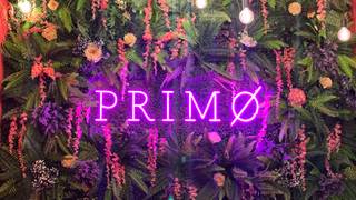 A photo of Primo Bar & Restaurant restaurant