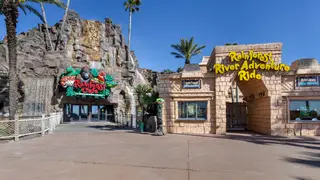 Rainforest Cafe - Galvestonの写真