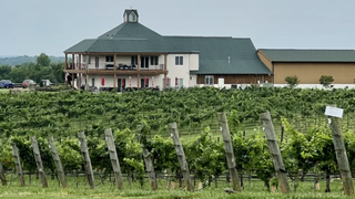 A photo of Rayson Winery - Wine Tasting restaurant