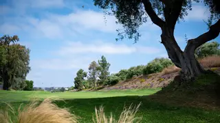 A photo of Shorecliffs Golf Club Dining restaurant