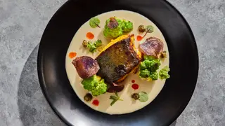 A photo of rasai restaurant