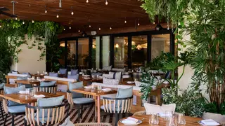 Photo du restaurant Zaytinya - South Beach