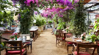 A photo of Petersham Nurseries Restaurant Richmond restaurant