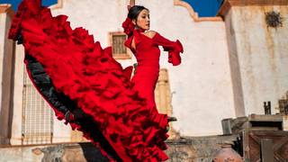 Live Flamenco Show Foto