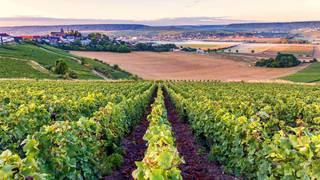 French Women Wine Dinner photo