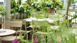 Summer Music Nights on the Ground Floor Patio Photo