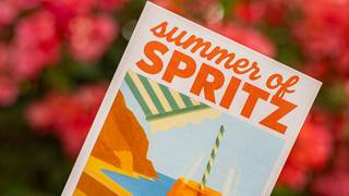 Summer of Spritz in the Garden foto