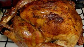 THANKSGIVING 2025 is Coming! Photo