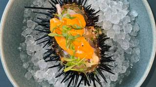 Summer Omakase Photo