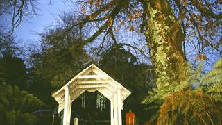 King Henry's Dinner and Paranormal Investigation Photo