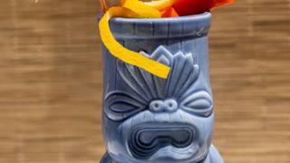 Luau Party & Pig Roast Photo