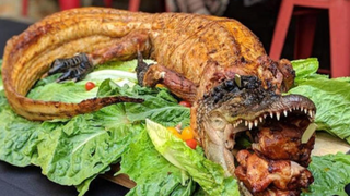 June Alligator Dinner photo