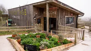 Une photo du restaurant River Cottage