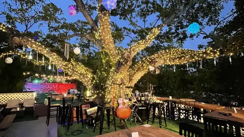 Treehouse 46 Restaurant - Boca Raton, FL