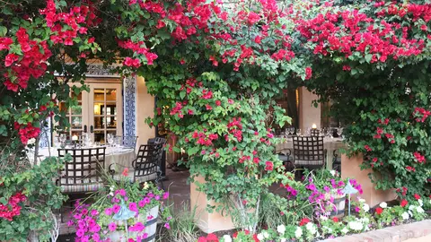 T. Cook s at Royal Palms Resort and Spa Restaurant Phoenix AZ