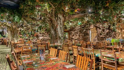 Rainforest Cafe - East Bloomington - 7 tips from 897 visitors