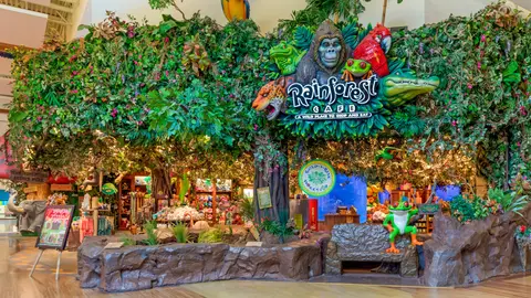 Very colorful - Picture of Rainforest Cafe, Schaumburg - Tripadvisor